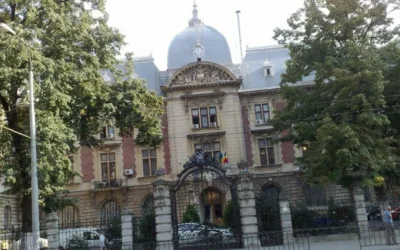 Statul plateste 125 milioane lei pentru fermieri. Ce inseamna asta pentru preturile din magazine