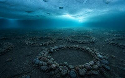 Aproximativ 60 de milioane de cuiburi de pești au fost găsite sub gheața Antarcticii