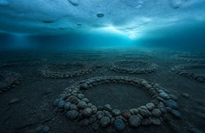Aproximativ 60 de milioane de cuiburi de pești au fost găsite sub gheața Antarcticii