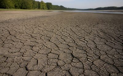 Nivelul Dunării a scăzut la un minim istoric de minus 108 centimetri în Croația