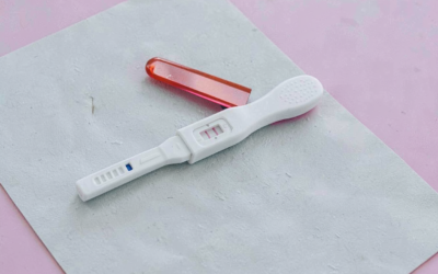 O genă identificată de Universitatea Monash ar putea prelungi viața reproductivă feminină