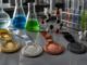 România a obținut patru medalii la Olimpiada Internațională de Chimie 2026