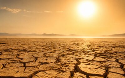 Cod roșu de caniculă în șapte județe cu temperaturi de până la 41 de grade Celsius