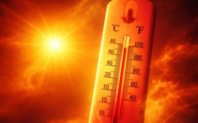 Codul Roșu de caniculă se extinde în Timiș din 4 august, cu temperaturi de până la 41 de grade