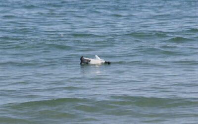 O dronă a fost descoperită pe o plajă din stațiunea Mamaia