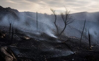 Pompierii români au stins un incendiu care amenința locuințe și o mănăstire în Grecia