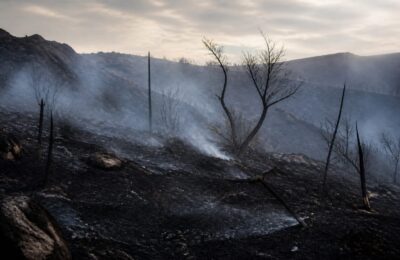 Pompierii români au stins un incendiu care amenința locuințe și o mănăstire în Grecia