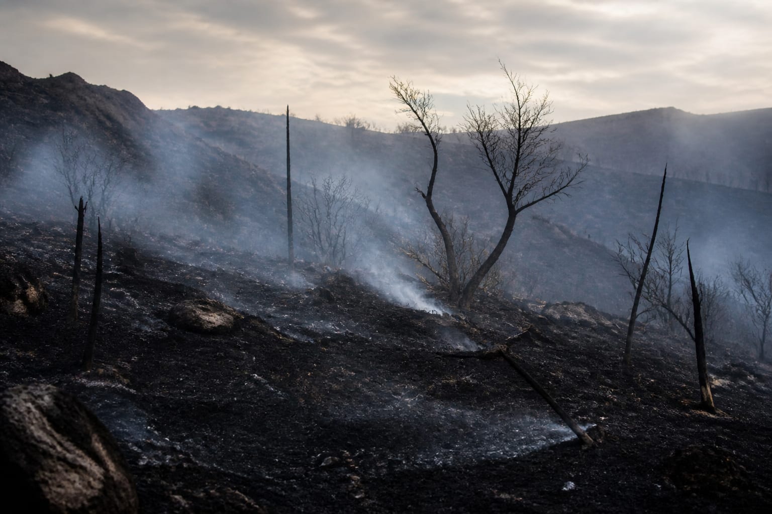 Pompierii români au stins un incendiu care amenința locuințe și o mănăstire în Grecia