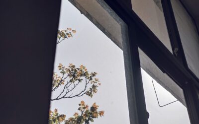 Belinda Sidhu recomandă o rutină stabilă și lumină naturală înaintea lunilor întunecate