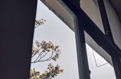 Belinda Sidhu recomandă o rutină stabilă și lumină naturală înaintea lunilor întunecate