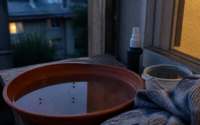 West Nile a provocat 58 de îmbolnăviri și 3 decese în România între 3 iunie și 2 septembrie