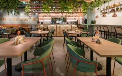 Meniurile din restaurante pot aduna 185.000 de bacterii. Pipernițele pot transfera și alergeni