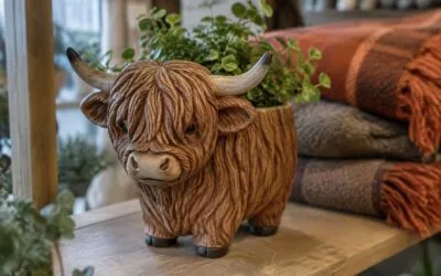 De ce apar tot mai multe vaci Highland pe decorațiunile din magazinele britanice